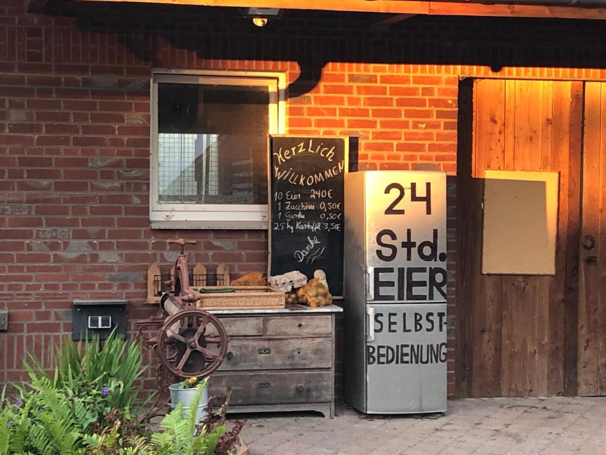 Feldjahns-Ferienwohnung 阿豪斯 外观 照片